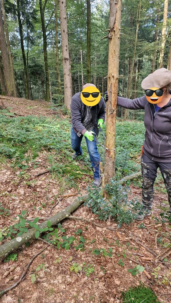 Bild hochgeladen von Toby