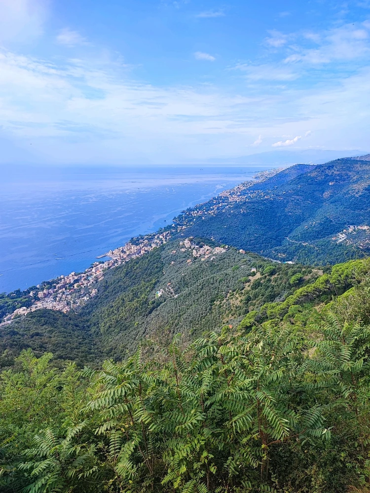 Image uploaded by Nicolas