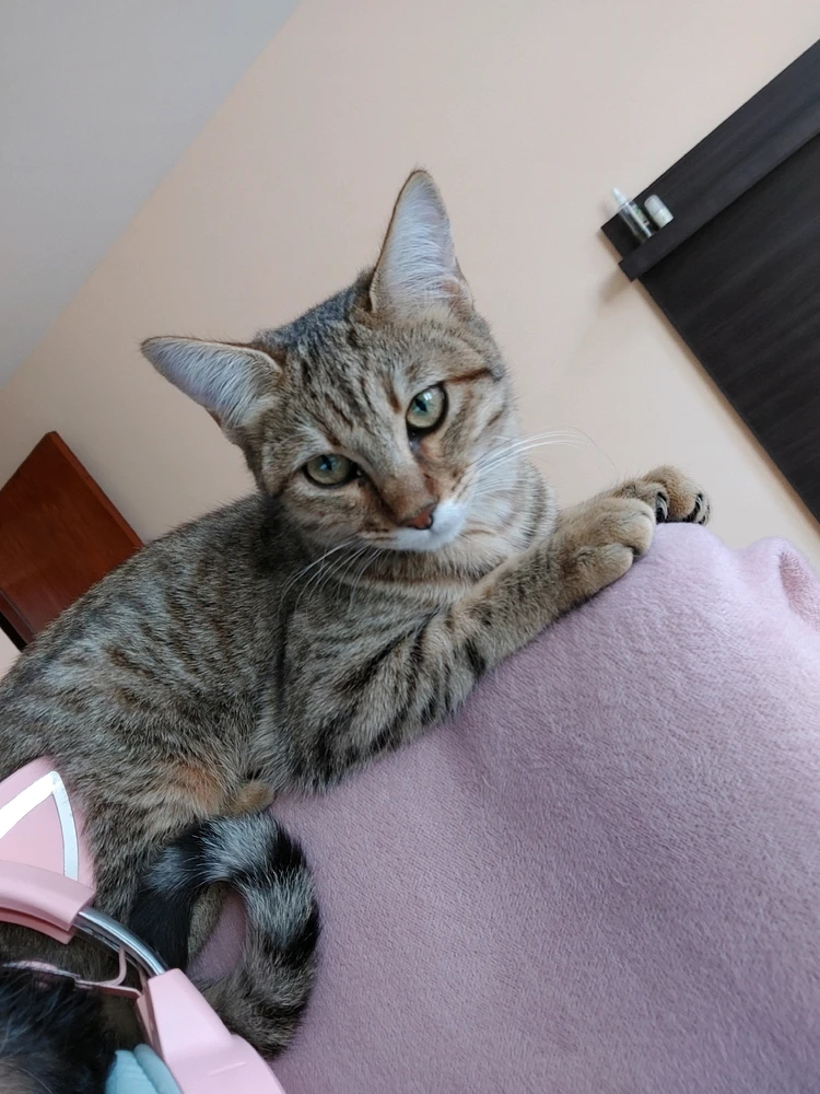 Gi-upload ni ❤ Sophia aka Mango Mami ❤️ ang hulagway