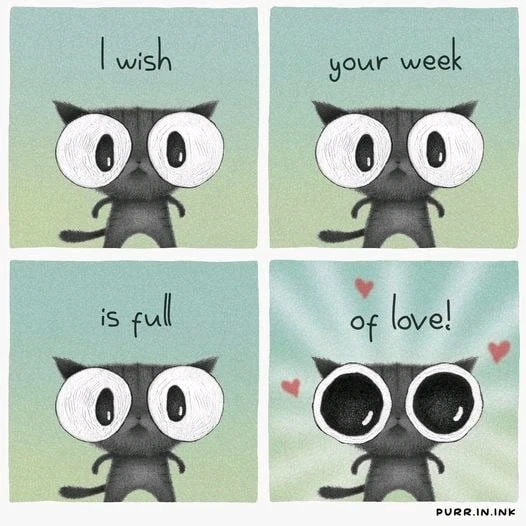 Imagine încărcată de ioana