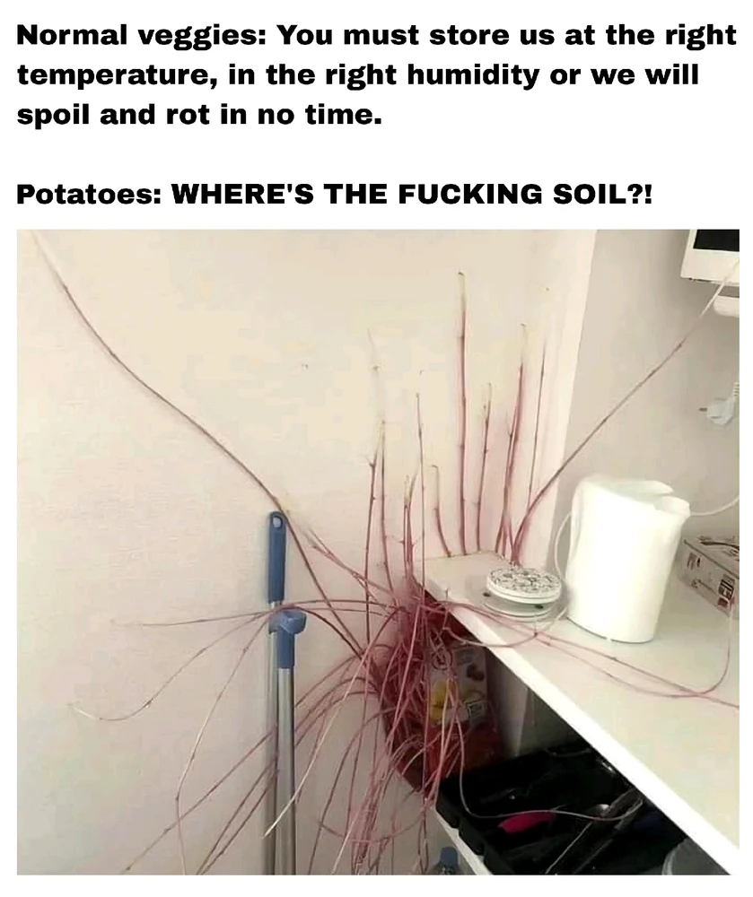 Bild hochgeladen von Doris