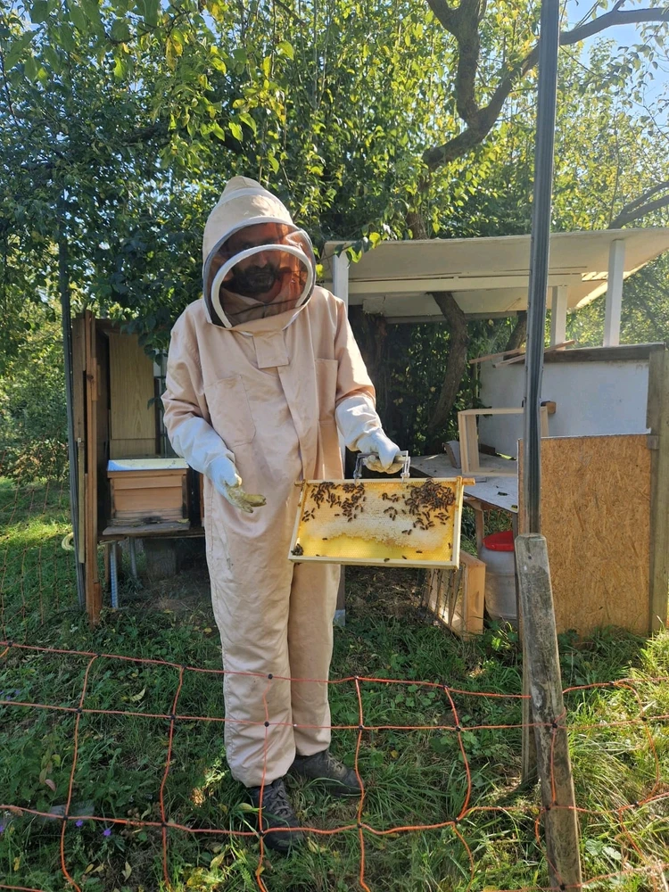 Bild hochgeladen von Achim