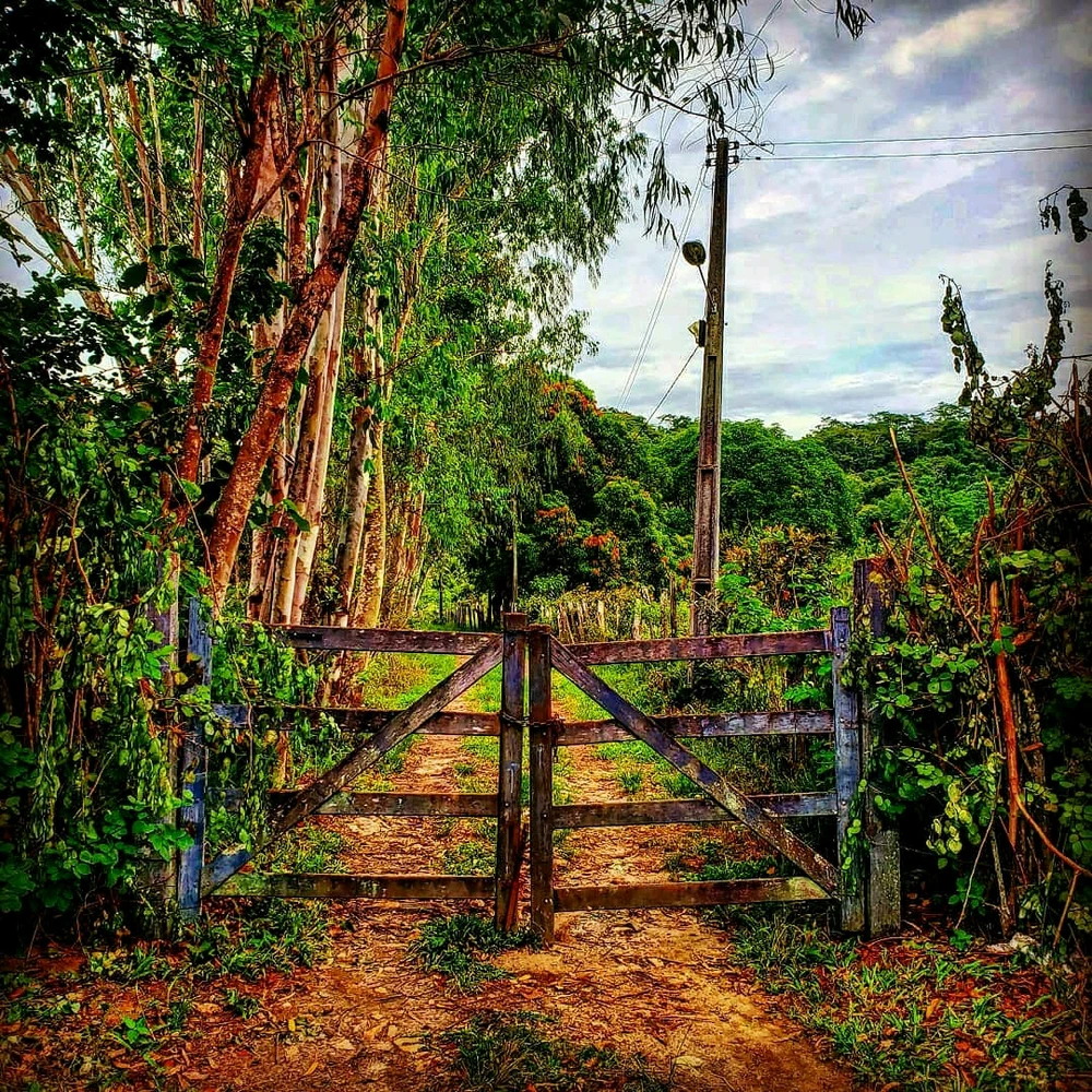 Imagem enviada por R.K.