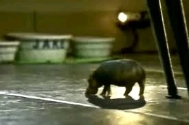 Image uploaded by Keenan