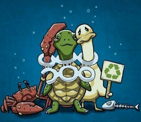 Bild hochgeladen von David