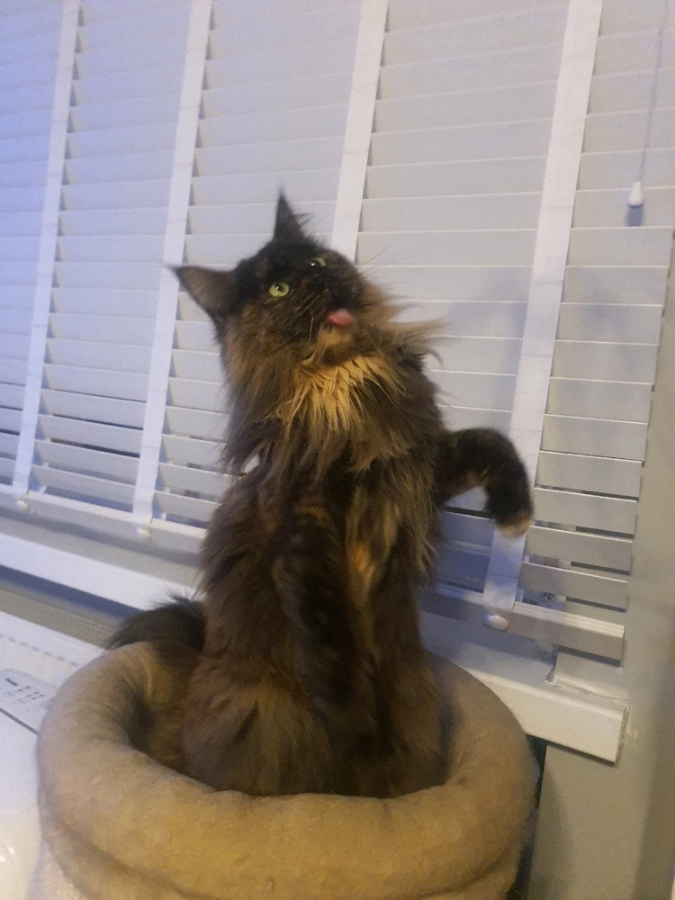 Zdjęcie dodane przez Matty