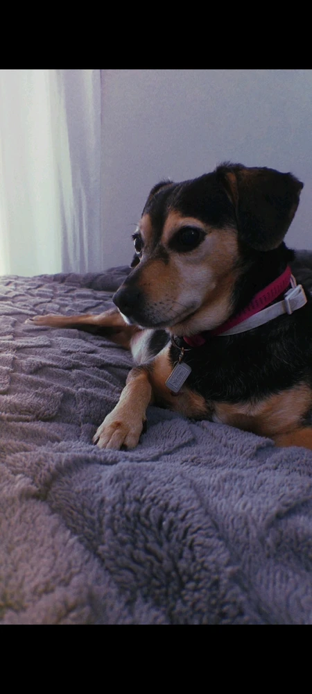 Εικόνα από Ioanna