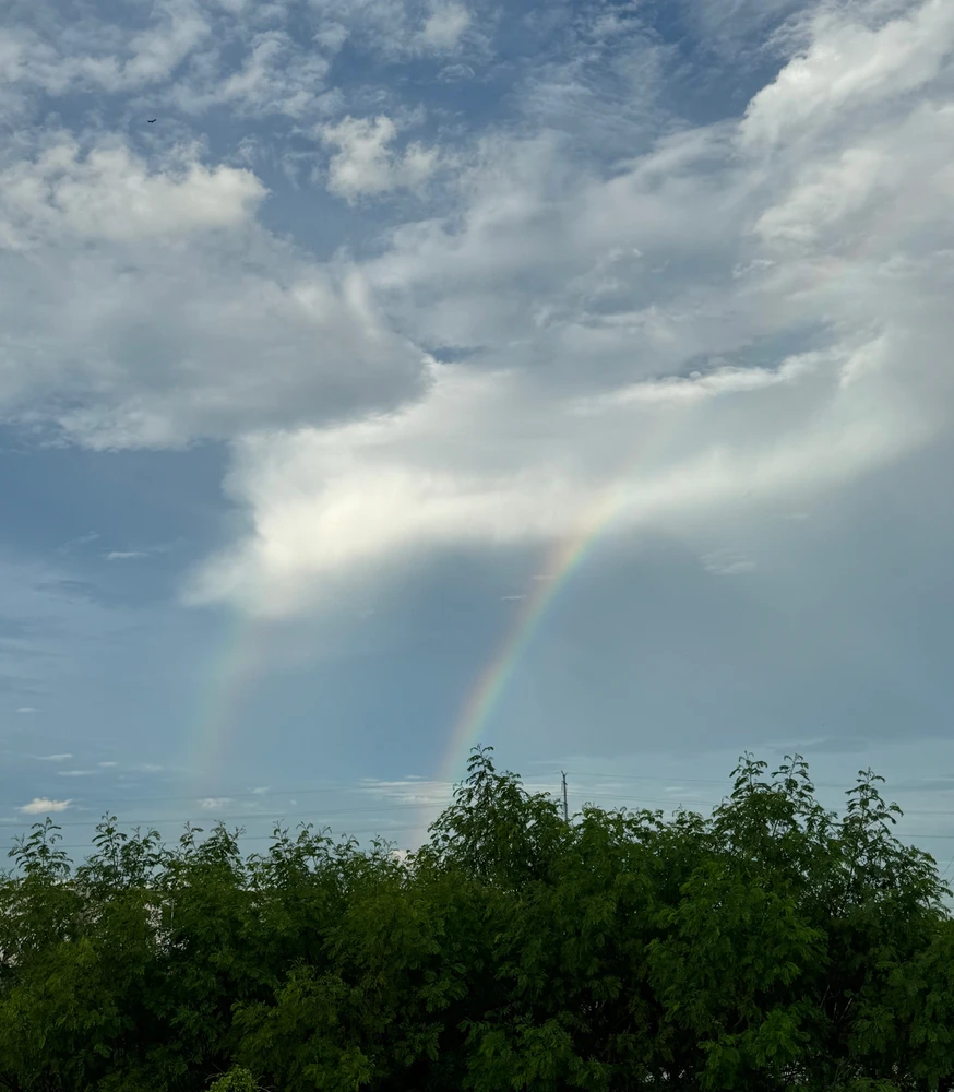 Imagen subida por Miguel