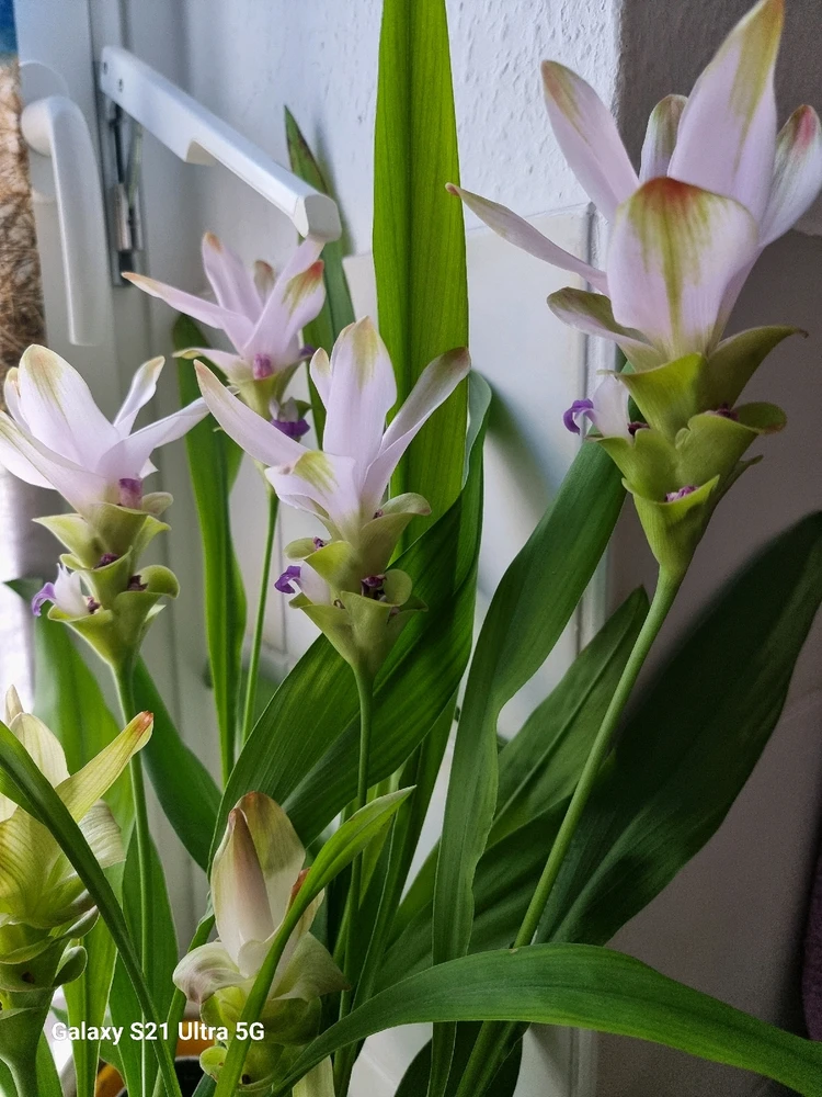 Image uploaded by Edgar