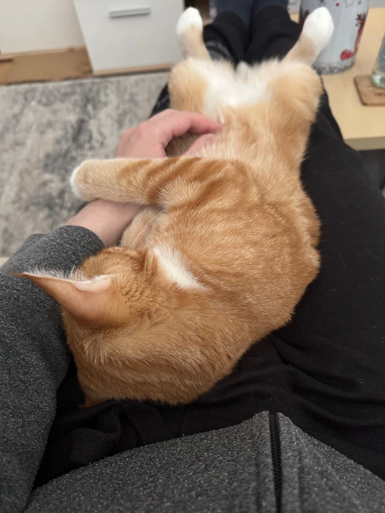 Bild hochgeladen von Dennis