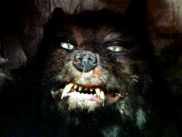 Imagen subida por Víctor