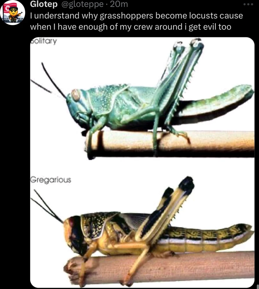 Image uploaded by Adam von Estorff