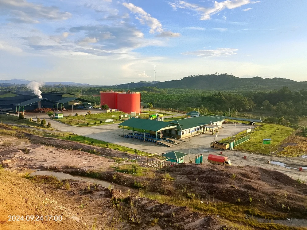 Gambar diunggah oleh Willy