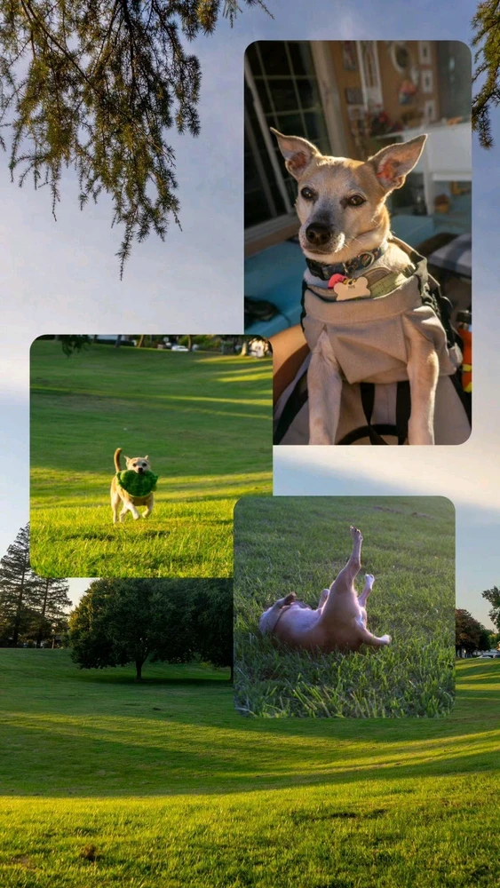 Image uploaded by Christian Molina