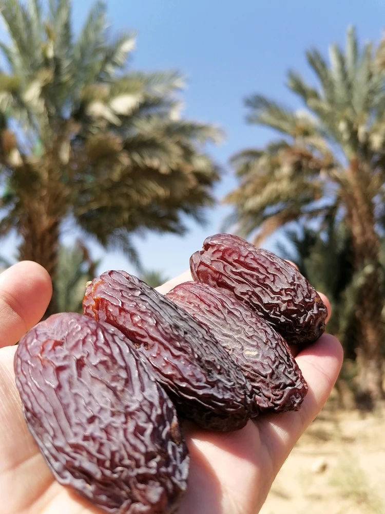 Image uploaded by Yazeed