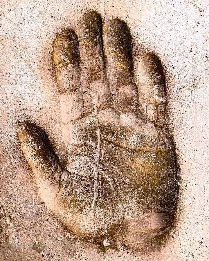 Gambar diunggah dening ⏹️ Sûrjît ⏩