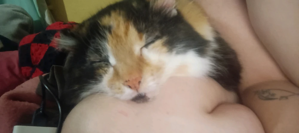 Image uploaded by Nirene