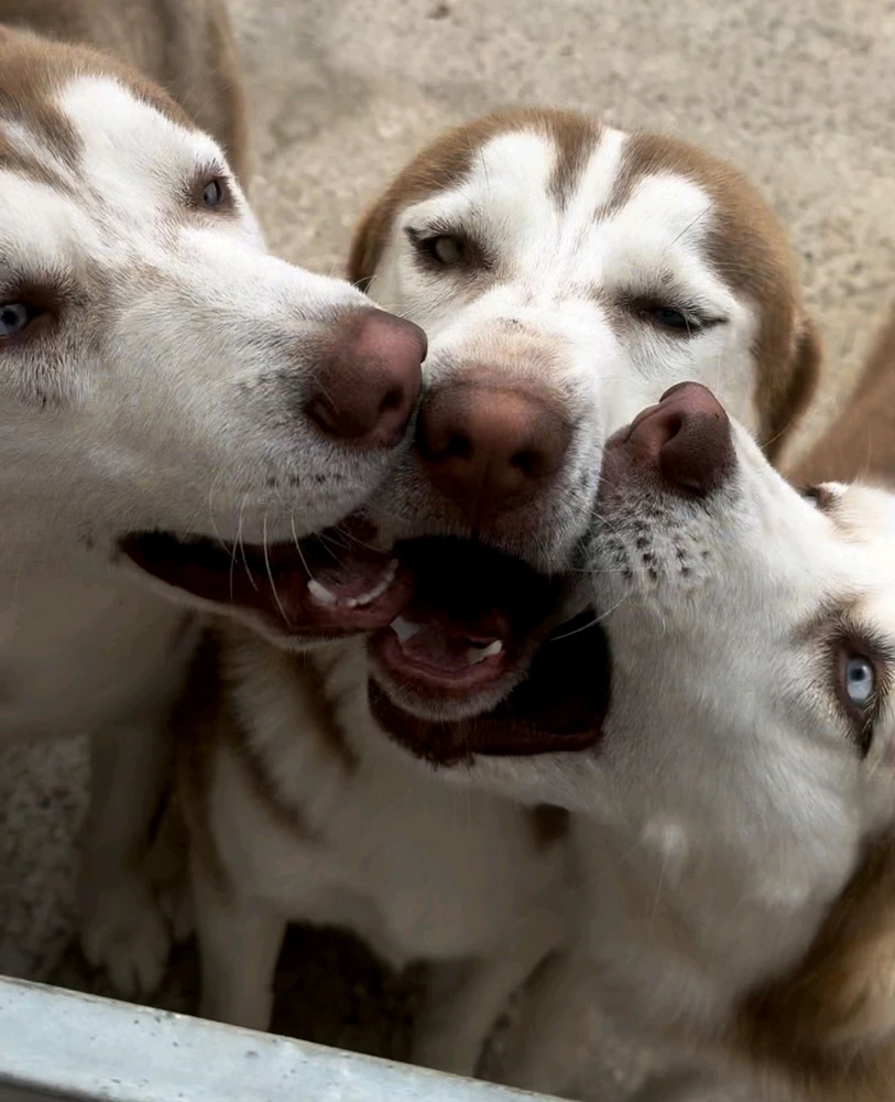 Immagine caricata da Juan Gabriel