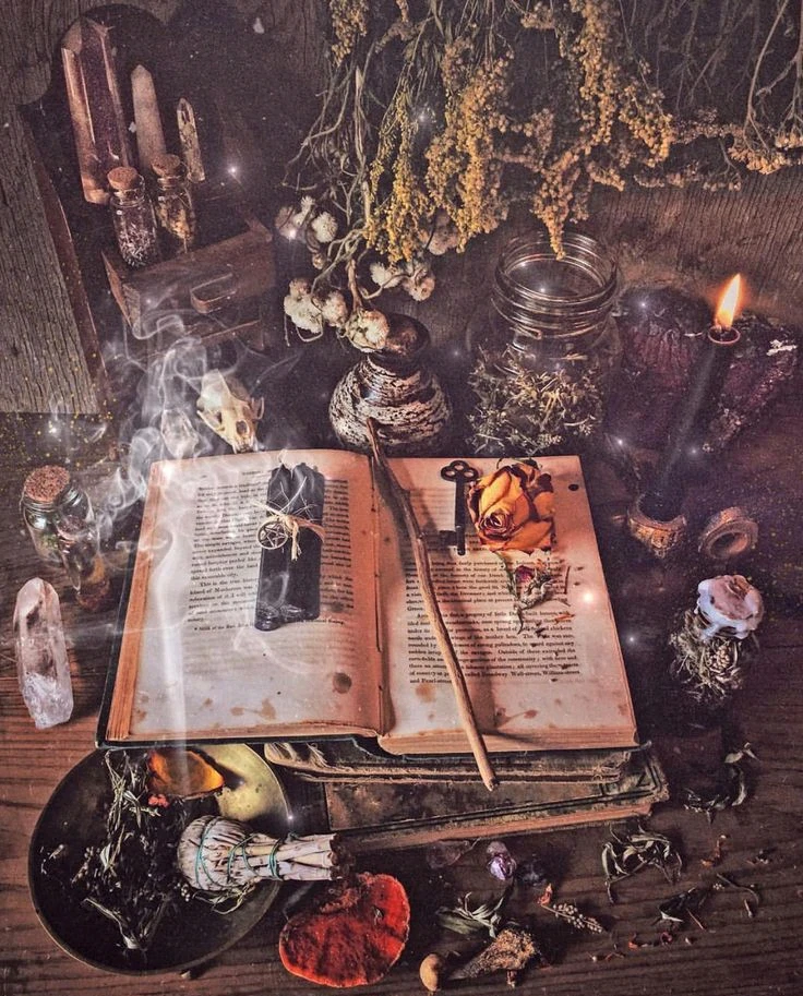 Meriç tarafından yüklenen görsel