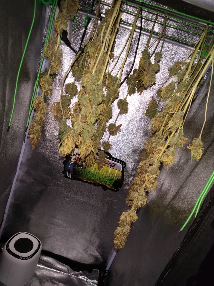 Bild hochgeladen von Find's doch raus