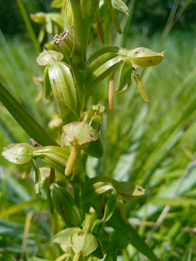 Image uploaded by Juan M