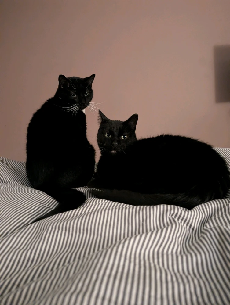 Image uploaded by Steph