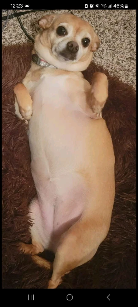 Image uploaded by Ernesto Moreno