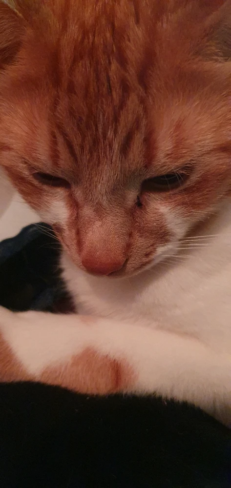 Mynd sett inn af Marsý