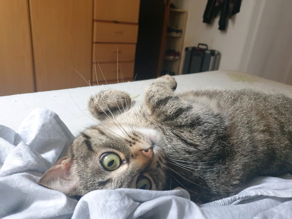 Immagine caricata da Hermann