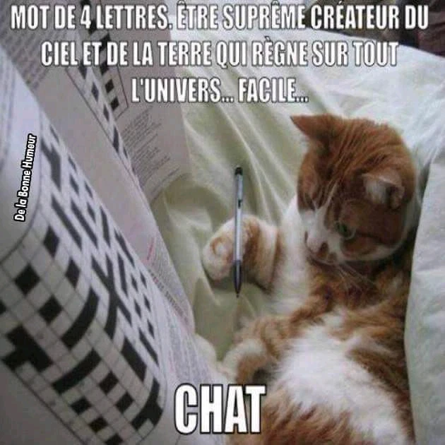 Image ajoutée par Ꭻລԁ𝙚