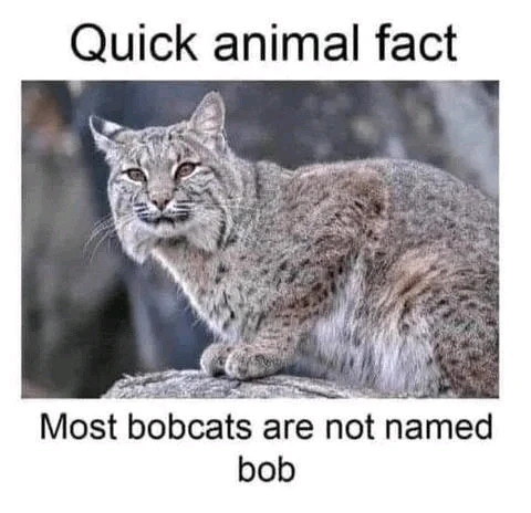 Bild hochgeladen von Peter