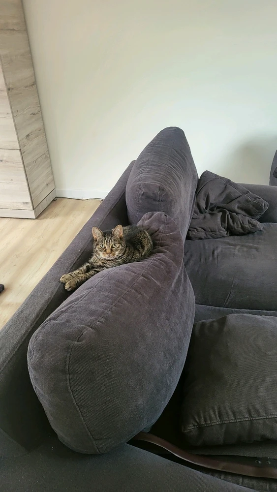 Afbeelding geüpload door Bram