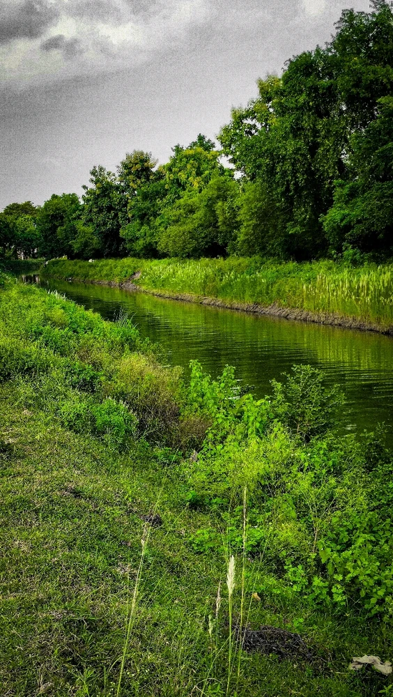 Image uploaded by Angrash mishra