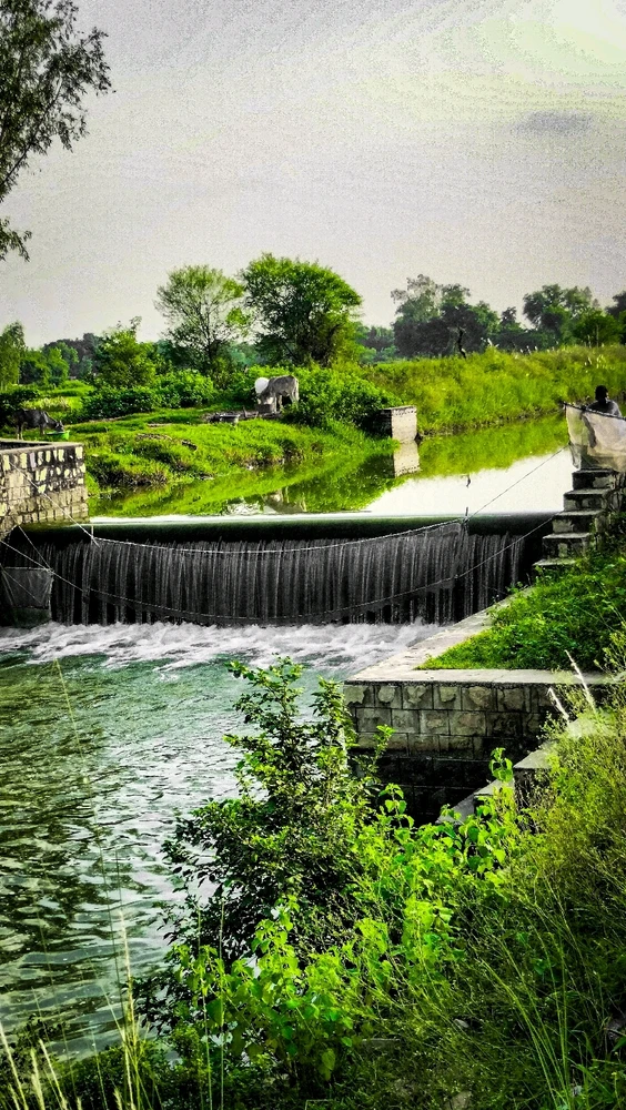 Image uploaded by Angrash mishra