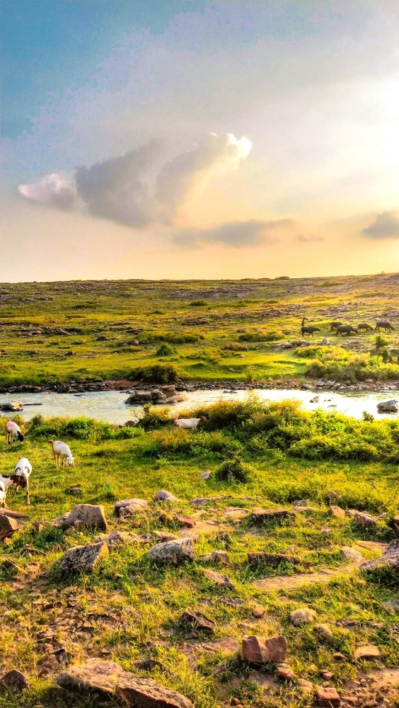 Gambar diunggah dening Angrash mishra