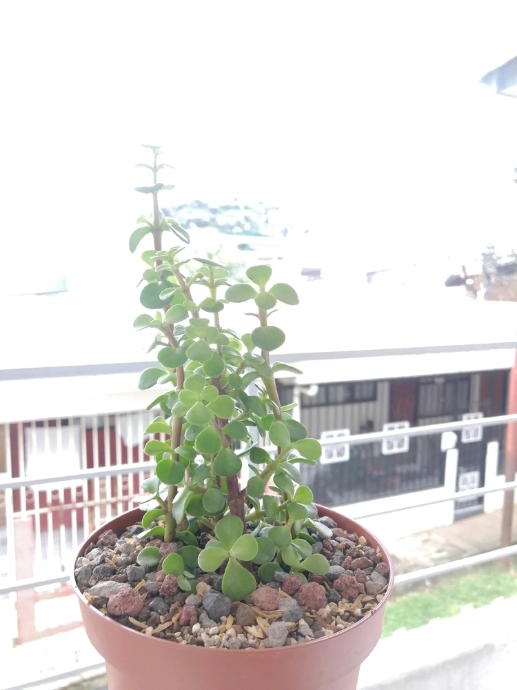 Imagen subida por John