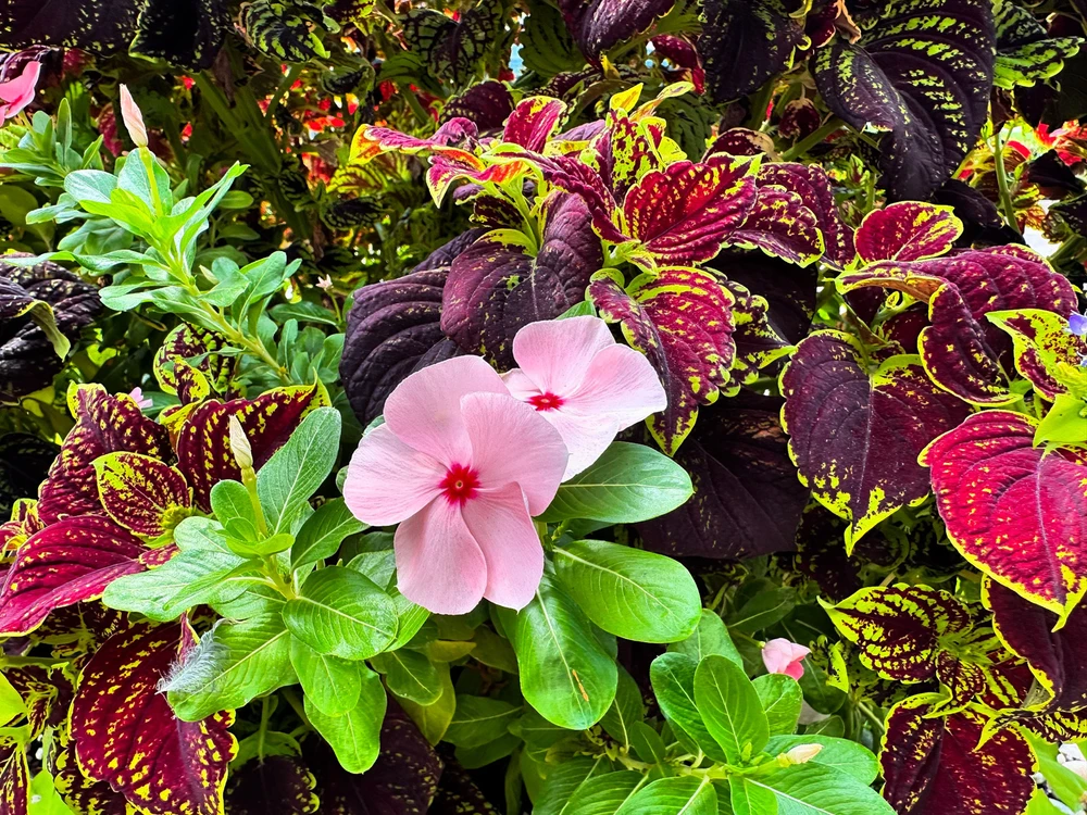 Image uploaded by Fran