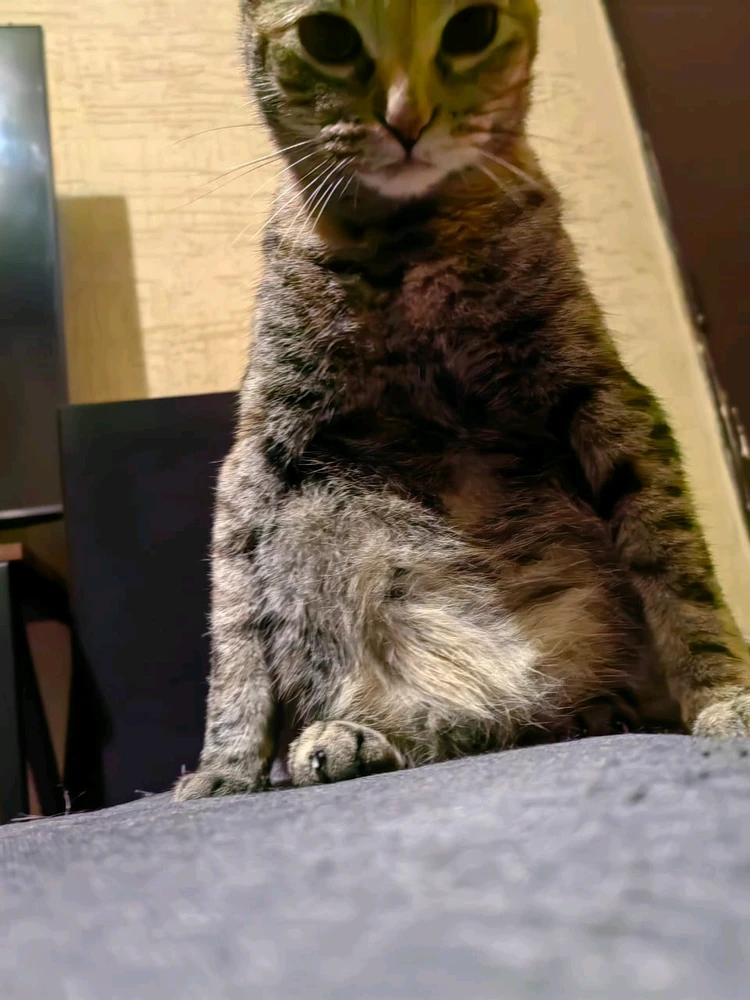 Geminiがアップロードした画像