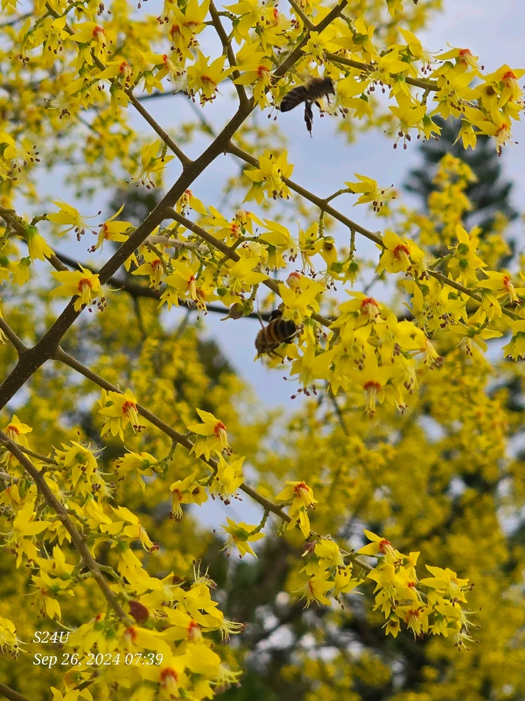 Image uploaded by StinkyCheese