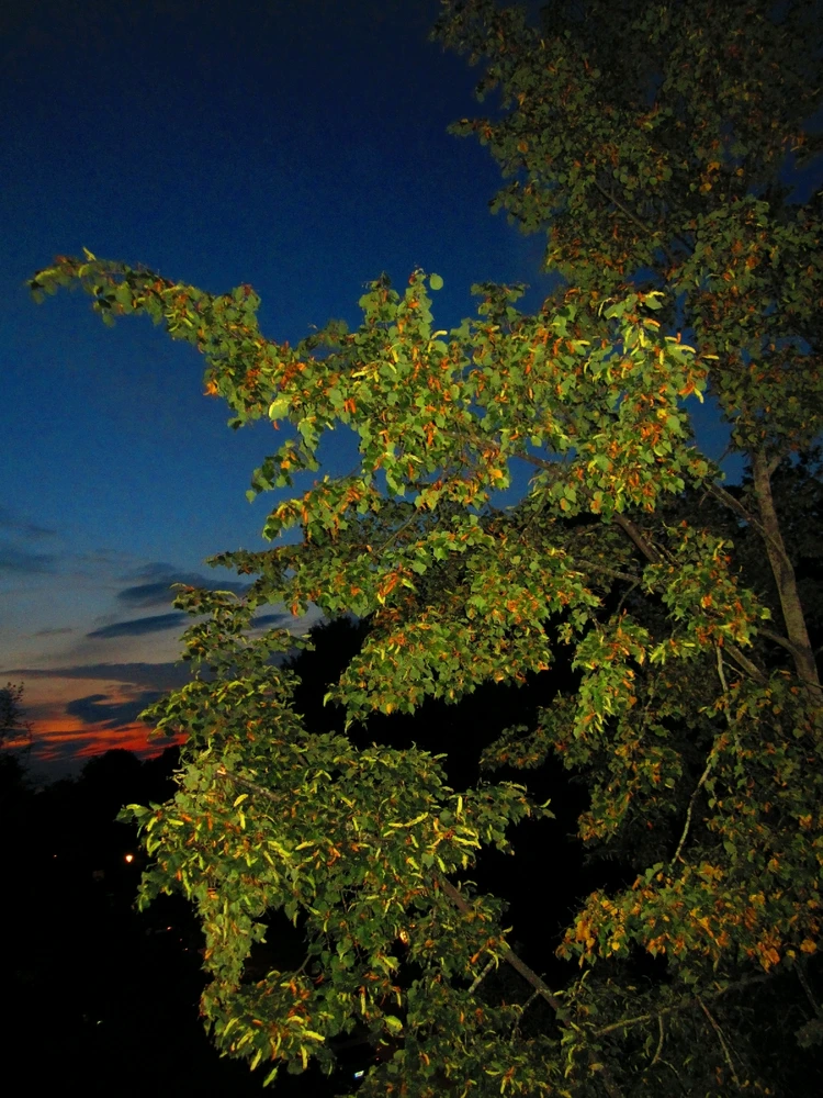 Bild hochgeladen von Nadine