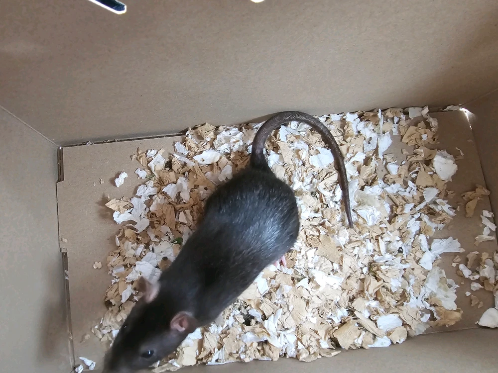 Image uploaded by Charissa