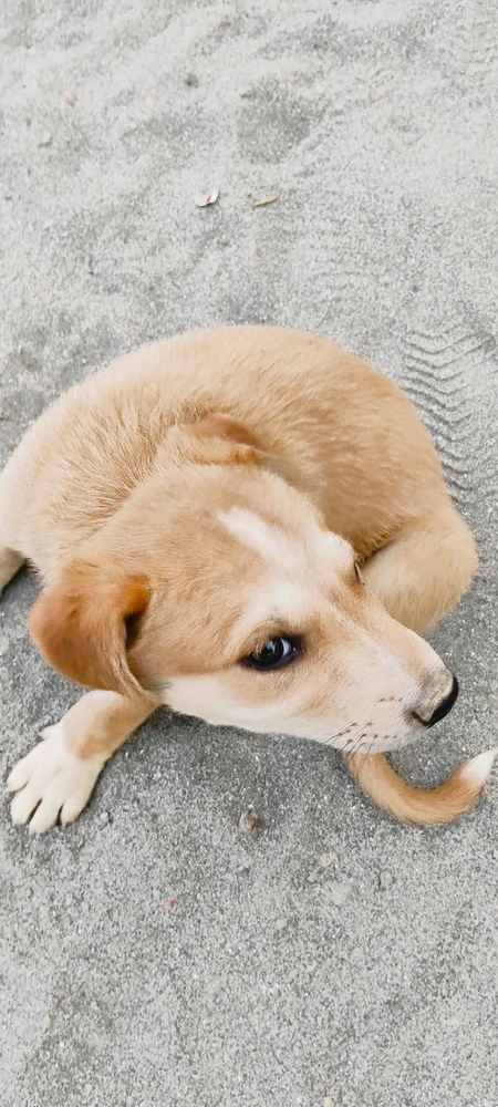 Image uploaded by Kishlay