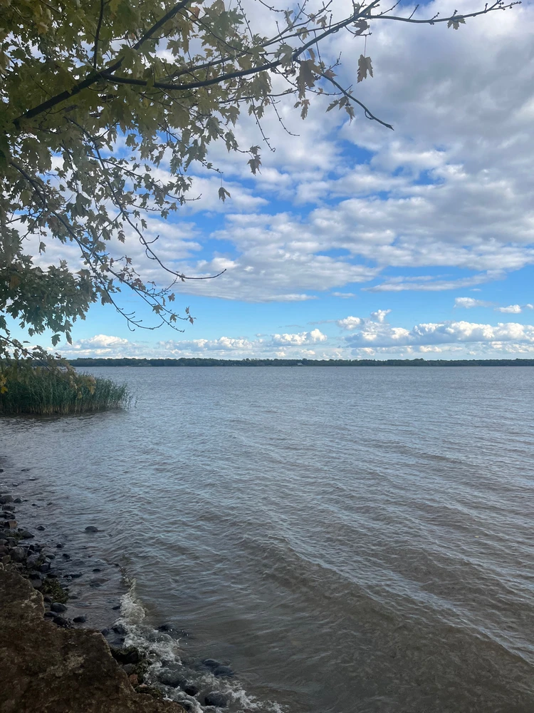 Image uploaded by Robert