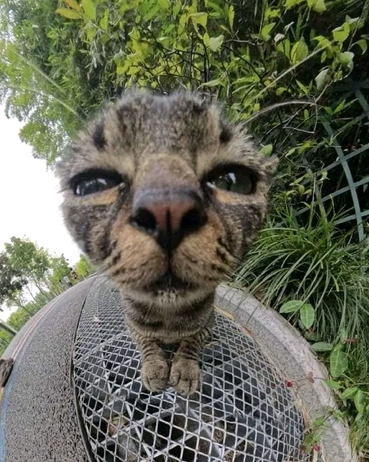 Imagen subida por Jorge