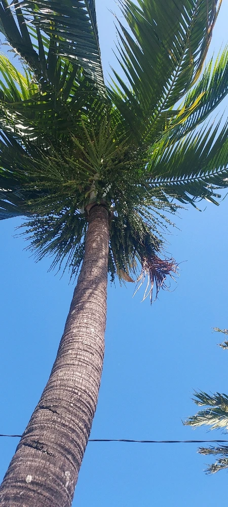 Image ajoutée par Fab