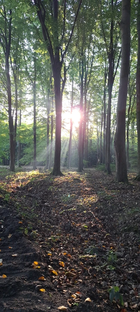 Zdjęcie dodane przez Karol