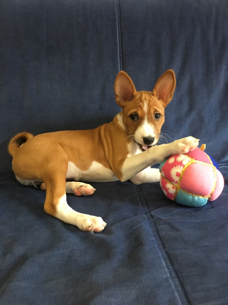 Фото загрузил Anastasiya