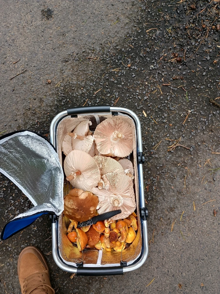 Obrázek nahrál Tomáš