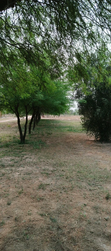 Imagen subida por Raul