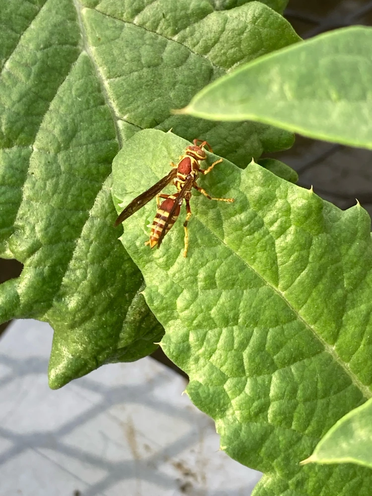 Image uploaded by Luke